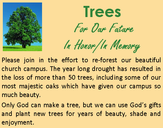 AD-Content-Tree top