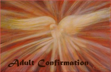 Rotator-Adult Confirmation