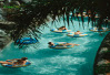 Young Adult Schlitterbahn Trip